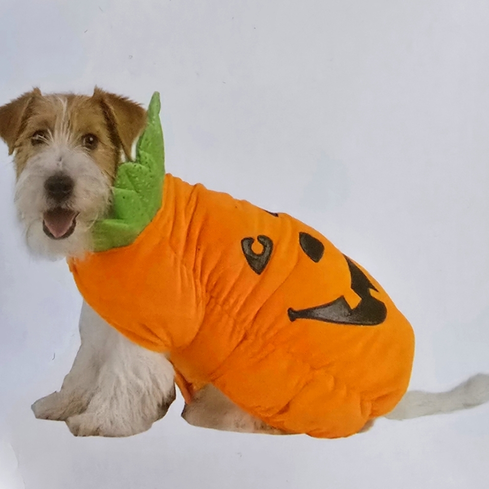 Pumpkin Dog Costume